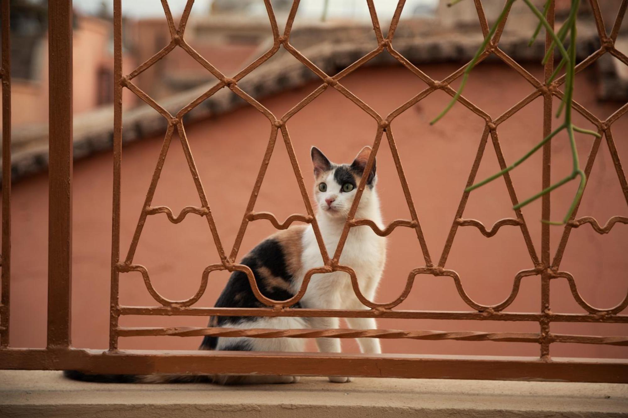 Riad Marie Caracal Marrakesh Exterior foto